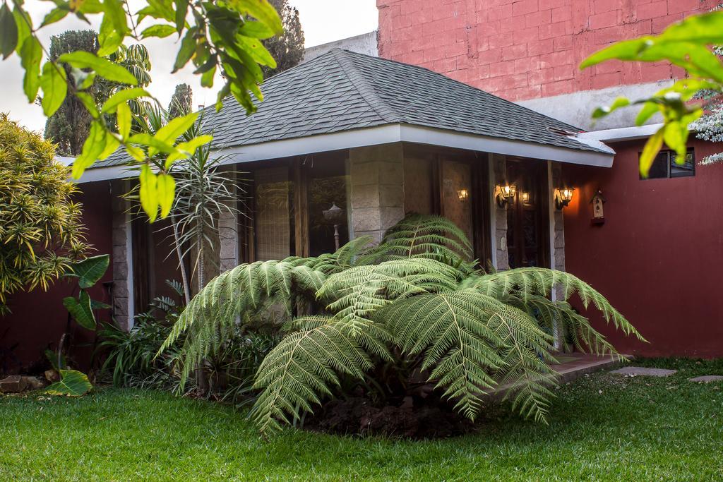 Mi Casa, Tu Casa Apartamento Guatemala City Exterior foto